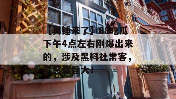 【真锤来了】88吃瓜下午4点左右刚爆出来的，涉及黑料社常客，信息量巨大！